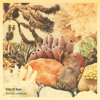 Vila D Sun / - Secrets Undersea