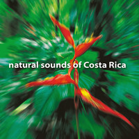 Andrew Roth - Natural Sounds of Costa Rica