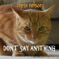 Chris Nelson - Don't Say Anything