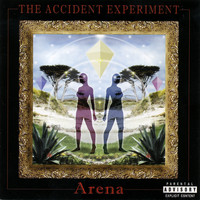 The Accident Experiment - Arena