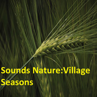Alexander Gorya - Sounds Nature: Village Seasons