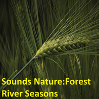 Alexander Gorya - Sounds Nature: Forest River Seasons