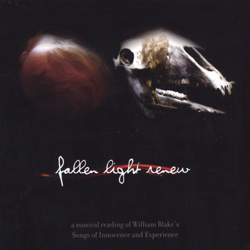 Amanda Kramer - Fallen Light Renew