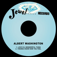 Albert Washington - Love is a Wonderful Thing / I Wanna Know How You