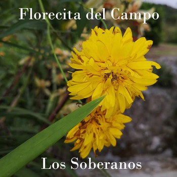 Los Soberanos - Florecita del Campo