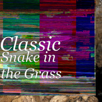 Classic - Snake in the Grass