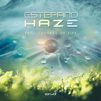 Estefano Haze - Preciousness of Life