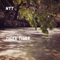 Ntt - Tiger Tiger