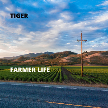 Tiger - Farmer Life
