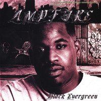 AMP FIRE - Black Evergreen
