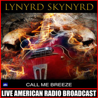 Lynyrd Skynyrd - Call Me Breeze (Live)