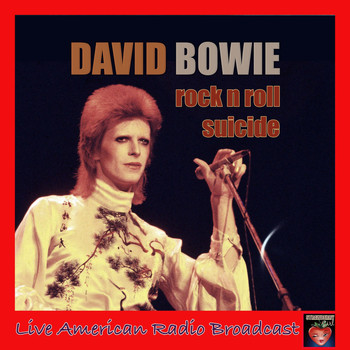 David Bowie - Rock 'n' Roll Suicide (Live)