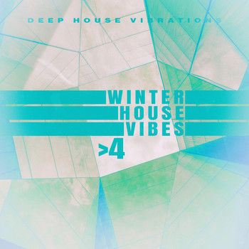 Various Artists - Winter House Vibes 4