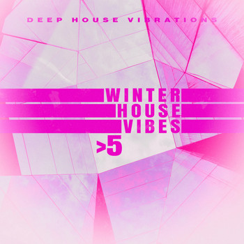 Various Artists - Winter House Vibes > 5