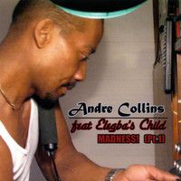 Andre Collins - Madness (PT .1) feat Elegba's Child