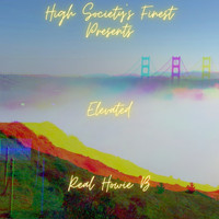 Real Howie B - Elevated