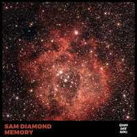 Sam Diamond - Memory