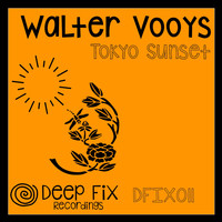 Walter Vooys - Tokyo Sunset