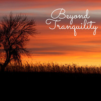 Masala Roo - Beyond Tranquility