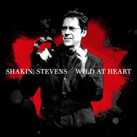 Shakin' Stevens - Wild At Heart (Neros Single Version)