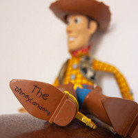 The Disneylanders - Cowboy Woody