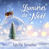 Fabrice Tonnellier - Lumières de Noël
