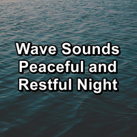 Alpha Wave Movement - Wave Sounds Peaceful and Restful Night