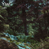 LaHi - Yiwi