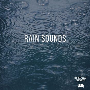 The Deep Sleep Scientists - Rain Sounds