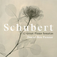 Daniel-Ben Pienaar - Schubert: 12 Great Piano Sonatas