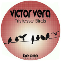 Victor Vera - Tristesse Birds