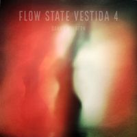 Danny Mulhern - Flow State Vestida 4