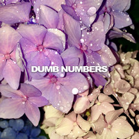 Dumb Numbers - Scars b/w Essence//Existence