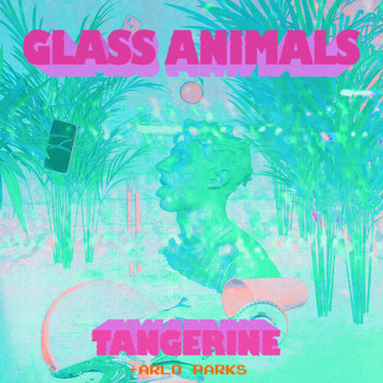 Glass Animals - Tangerine