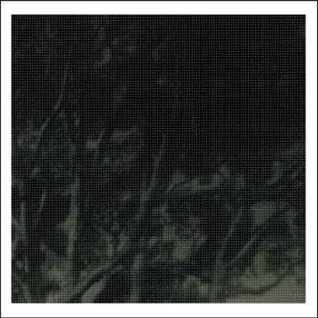 The Tigers - Beautiful Forest (Explicit)