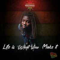 Spechinal - Life Is What You Make It