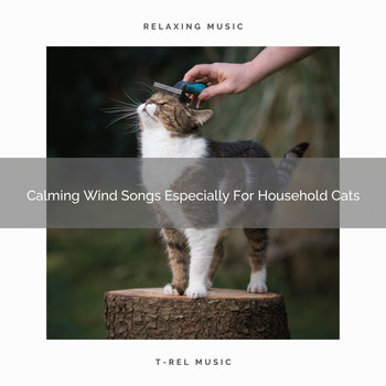 For Cats Only - Calming Wind Songs Especially For Household Cats
