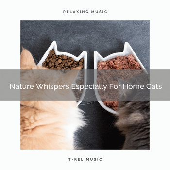 Cats Music Cradle - Nature Whispers Especially For Home Cats