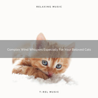 Cats Music Cradle - Complex Wind Whispers Especially For Your Beloved Cats