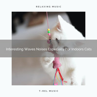 Cats Music Cradle - Interesting Waves Noises Especially For Indoors Cats
