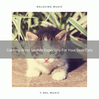 Cats Music Cradle - Calming Wind Sounds Especially For Your Dear Cats