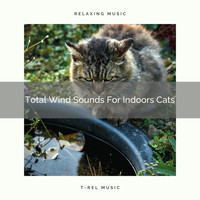 For Cats Only - Total Wind Sounds For Indoors Cats