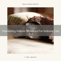 Cats Music Cradle - Interesting Nature Whispers For Indoors Cats