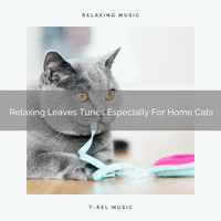 Cats Music Cradle - Relaxing Leaves Tunes Especially For Home Cats