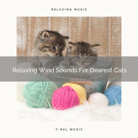 Cats Music Cradle - Relaxing Wind Sounds For Dearest Cats