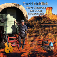 David Naiditch - David Naiditch Plays Bluegrass and Swing Instrumentals