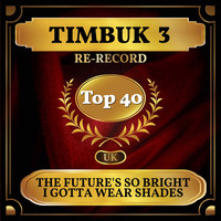 Timbuk 3 - The Future's So Bright I Gotta Wear Shades (UK Chart Top 40 - No. 21)