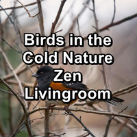 Calming Bird Sounds - Birds in the Cold Nature Zen Livingroom