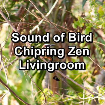 Baby Sleep Music - Sound of Bird Chipring Zen Livingroom