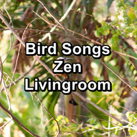 Calming Bird Sounds - Bird Songs Zen Livingroom